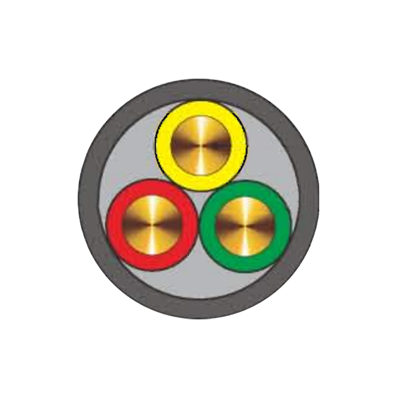 টেরমাইট এবং ইঁদুর প্রতিরোধী তারের