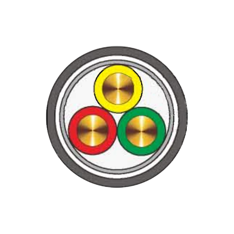 টেরমাইট এবং ইঁদুর প্রতিরোধী তারের