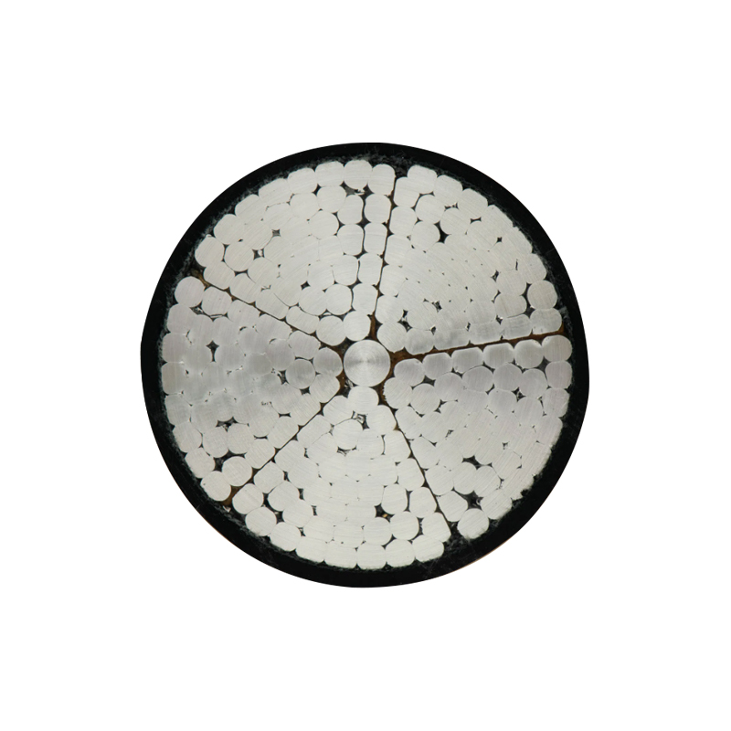 জল প্রমাণ সিরিজ তারের