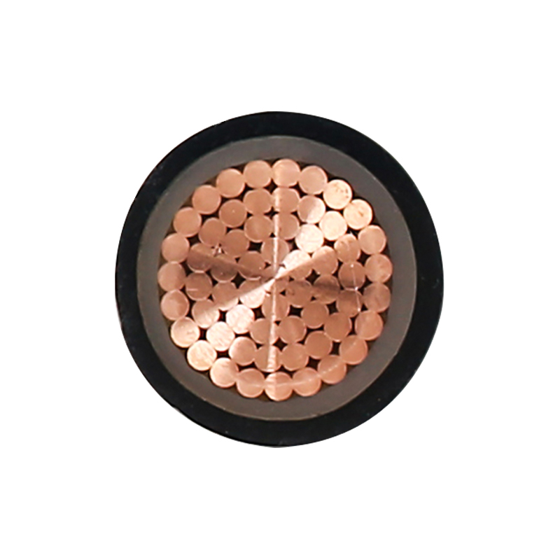 450/750V রেটেড ভোল্টেজের জন্য EV চার্জিং তার