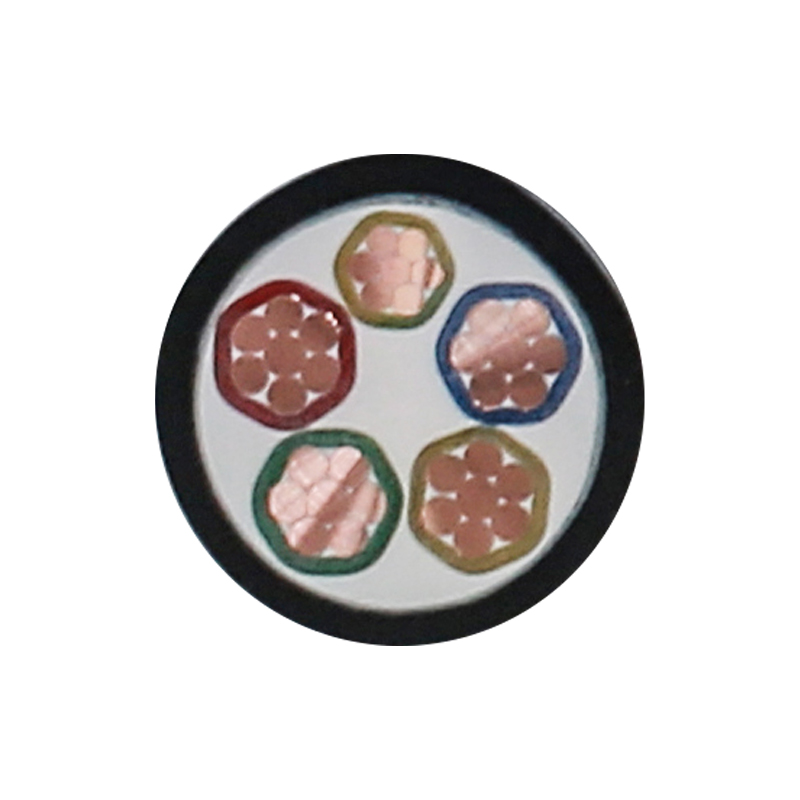 450/750V রেটেড ভোল্টেজের জন্য EV চার্জিং তার