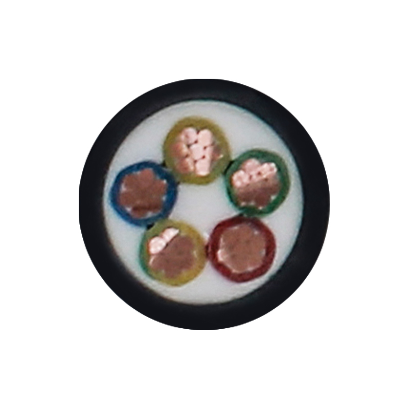 450/750V রেটেড ভোল্টেজের জন্য EV চার্জিং তার