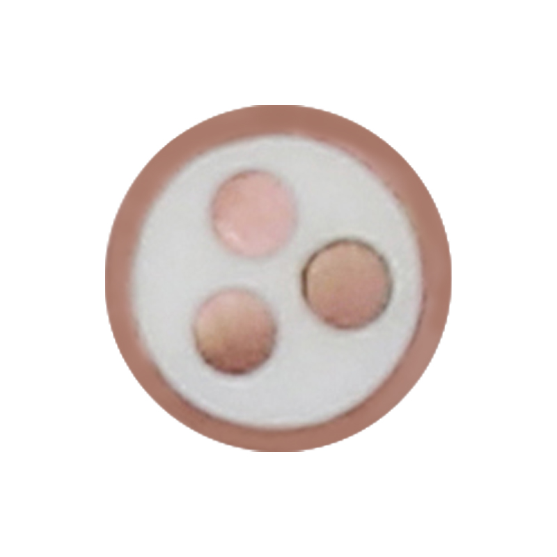 450/750V রেটেড ভোল্টেজের জন্য EV চার্জিং তার