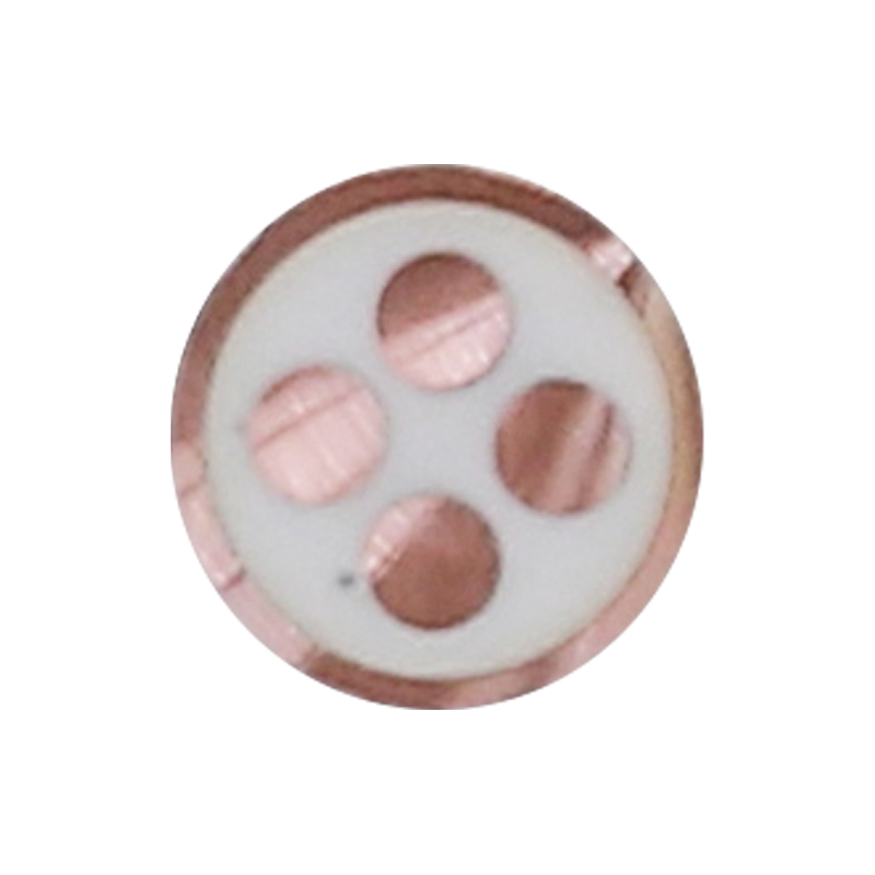 450/750V রেটেড ভোল্টেজের জন্য EV চার্জিং তার