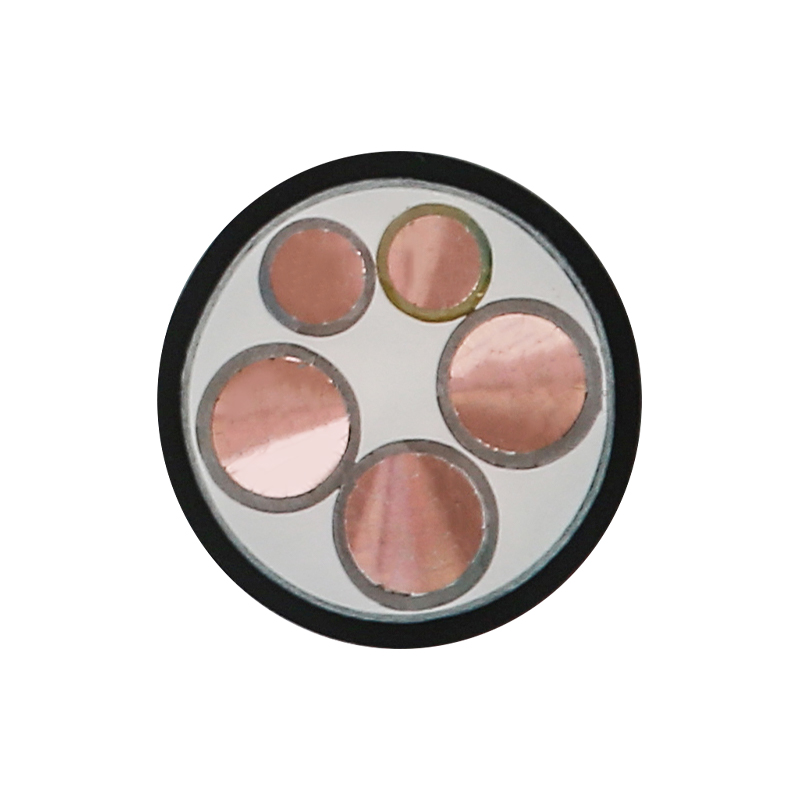 450/750V রেটেড ভোল্টেজের জন্য EV চার্জিং তার