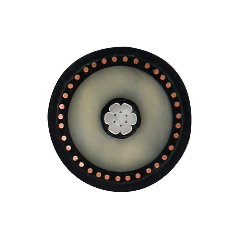 450/750V রেটেড ভোল্টেজের জন্য EV চার্জিং তার