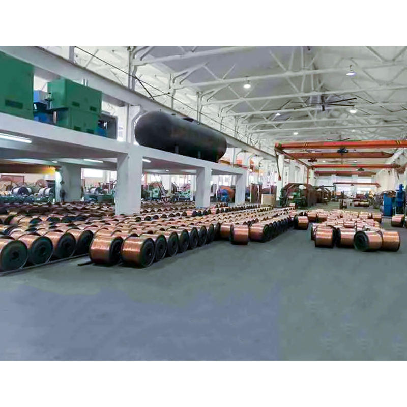 XLPE/PVC ইনসুলেটেড কেবল (তার) রেটেড ভোল্টেজ পর্যন্ত এবং 450/750V সহ